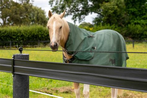 electric fence box horse|electric fencing supplies for horses.